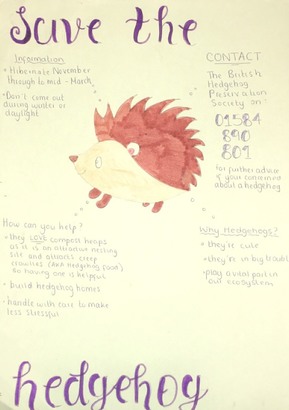 Hedgehog poster ebook listing