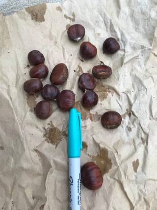 Sweet chestnuts ebook listing