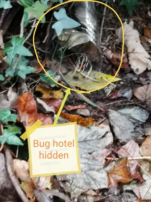 Hidden bug hotel ebook listing