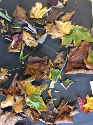 Autumn leaves 2 ebook listing